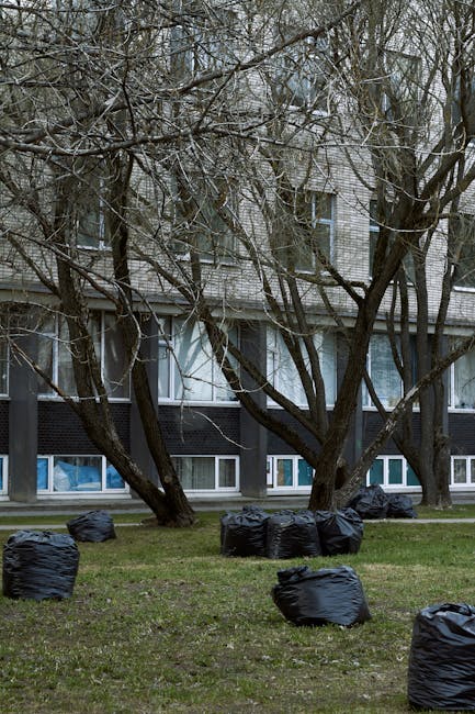 A row of large black garbage bags filled with waste or unwanted items are positioned on a grassy area outside a residential building during daytime. The bags are arranged in a loose pattern, some closer to the building's exterior and others nearer to the pavement. Behind the bags, there are several leafless trees with thick, twisting branches partially obscuring the building's facade. The building features multiple windows, some with visible curtains or blinds, and has a modern appearance with light-colored brickwork and darker paneling at the ground level. The overall scene suggests a home clearance or waste removal process as part of a house move or property clearance, which a professional removals service such as Man with Van Mill Hill could assist with. The environment is overcast, and the scene is well-lit with natural daylight.